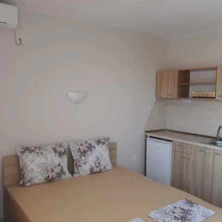 Къща Веселина Guest house *